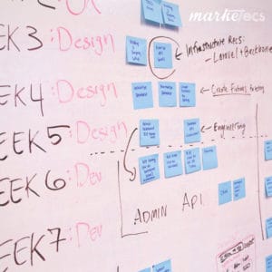 plan timelines and milestones in project management