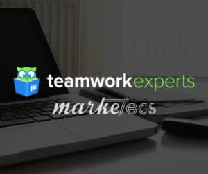 Teamwork Expert | Project management expert