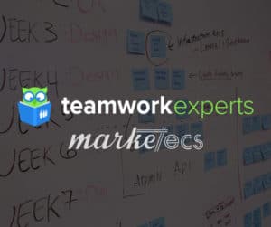 Teamwork Expert | Project management expert