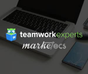 Teamwork project management expert